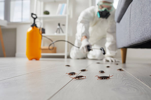 Commercial Kitchen Cockroach Control in Timberlane